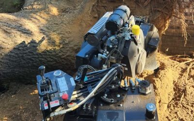 Spruce Up Your Spring with GreenLove Tree Service