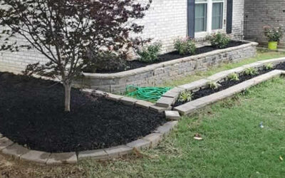 Turning Your Yard into a Green Paradise