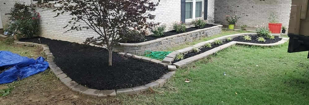 Turning Your Yard into a Green Paradise